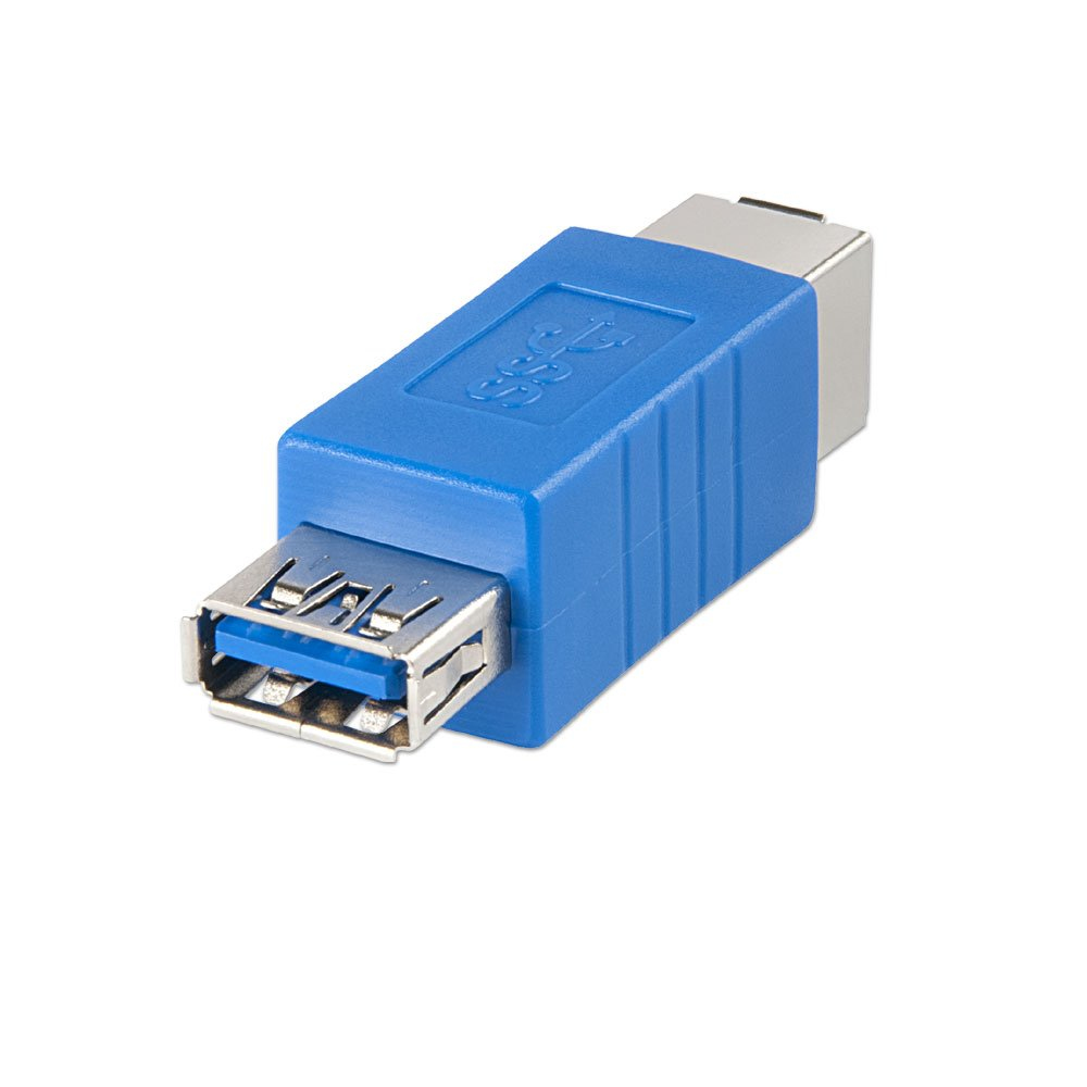 Lindy USB 3.0 Adapter, USB A Female to B Female Transparent